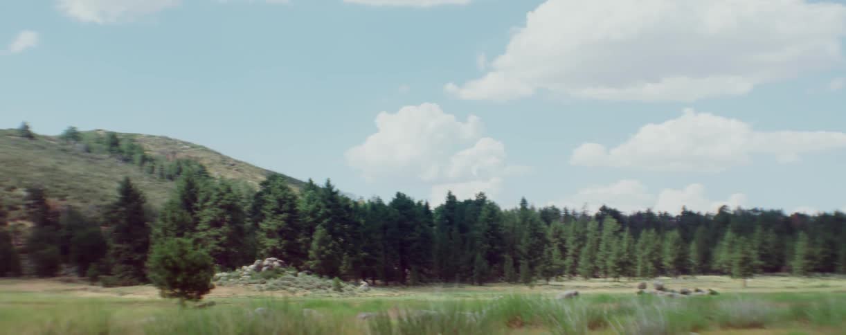 Fluffy clouds are seen above pine trees and a hill