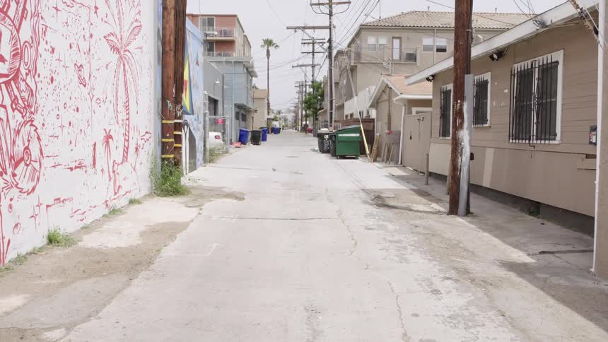 A back alley between houses and buildings has trash cans and graffiti