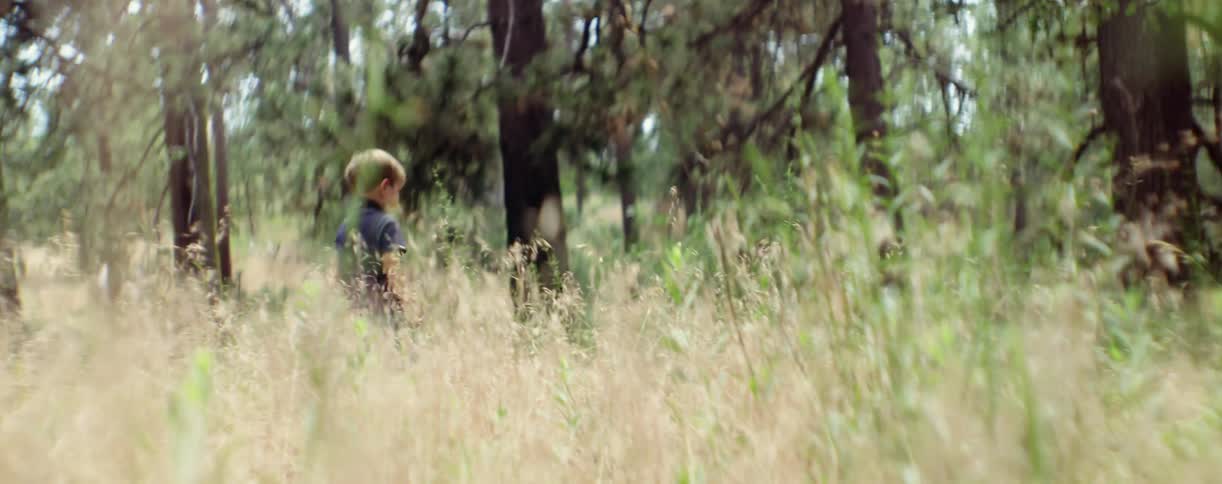 Little boy walking through tall weeds in a field