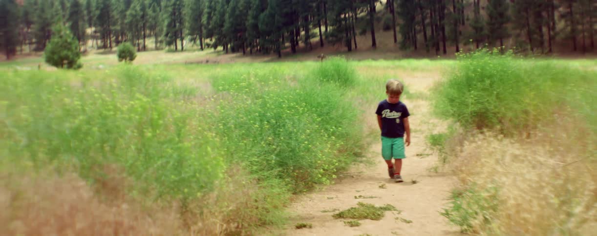 A toddler boy walks on a path edged with bushy weeds