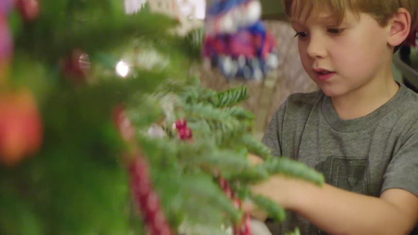 A young boy places an ornament on a christmas tree