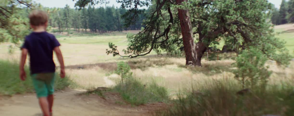 A boy walks downhill with a big tree on his side