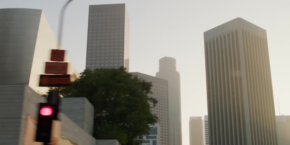 Skyscrapers in the city with a red stoplight and trees