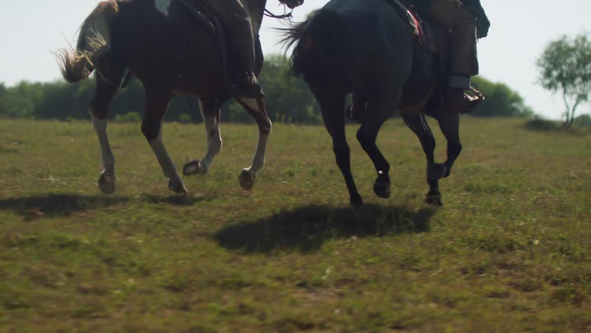 Two people ride on galloping horses through the field