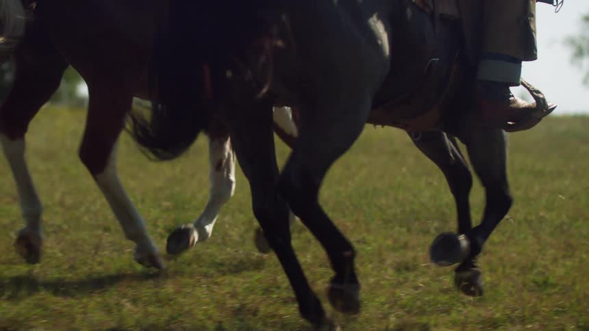 Horses legs galloping across a pasture in the countryside