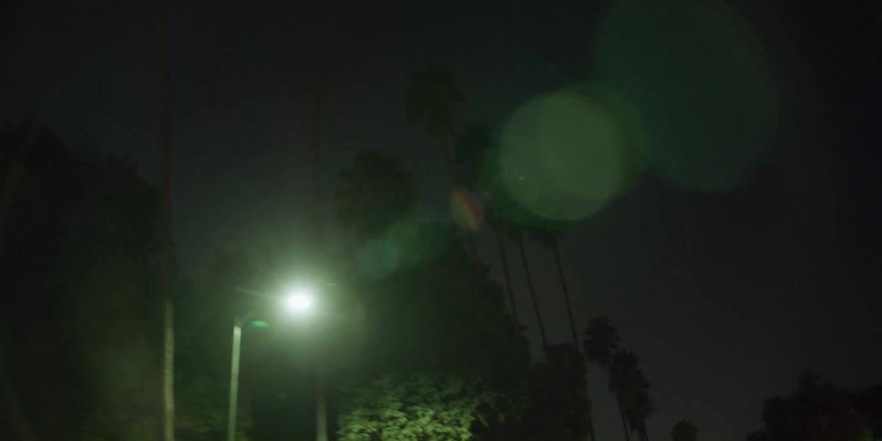 A skyward view while traveling through a suburban neighborhood at night