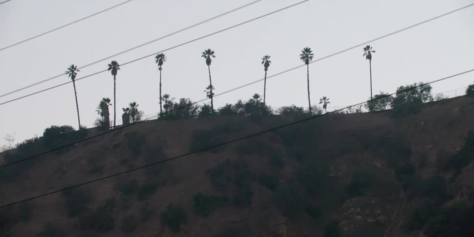 Power lines and a transmission tower in front of trees on a hill