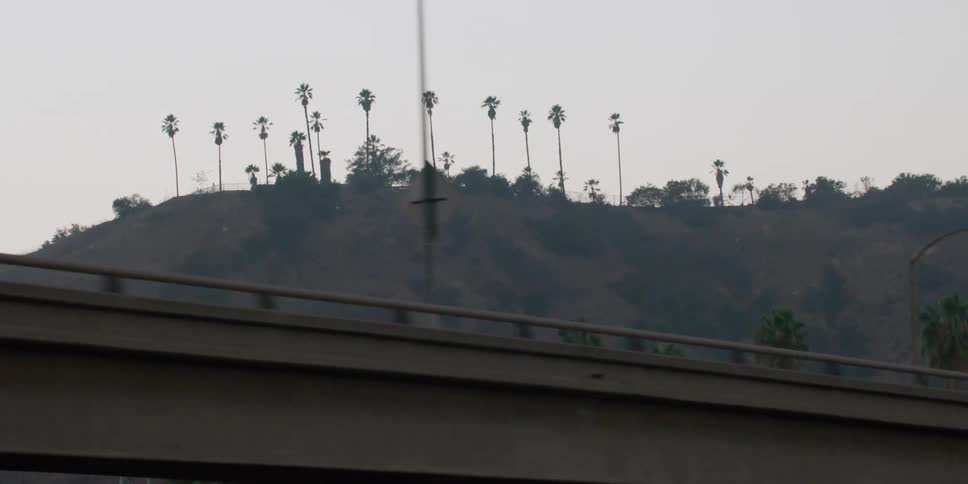 Vehicles driving by an overpass in front of a hill with palm trees