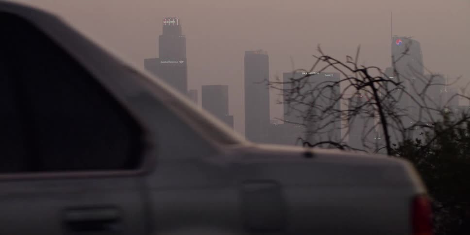 Moving past trees a city skyline is seen through the fog