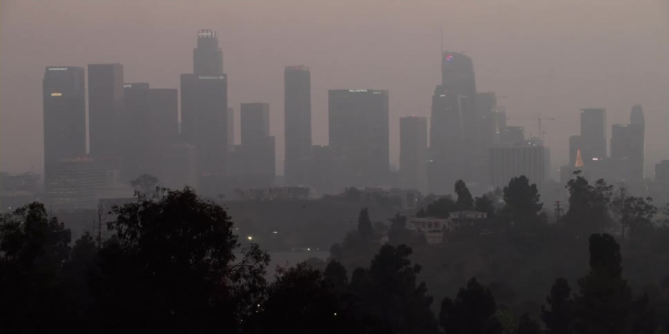 Trees are on the outskirts of a city at dusk