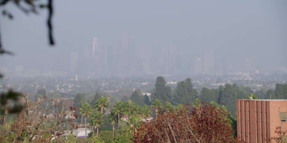 An aerial view of trees in front of houses in a neighborhood with the city skyline in the distance