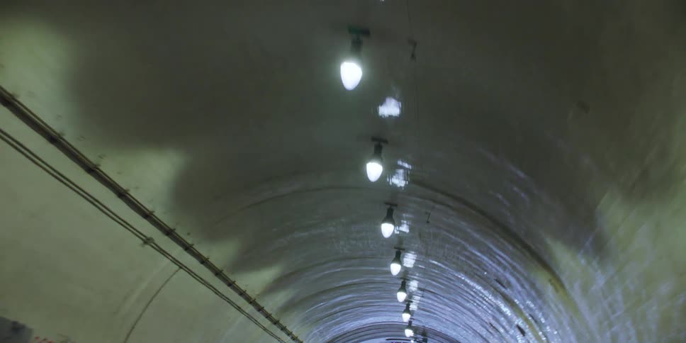 Cars are driving through a tunnel in spring