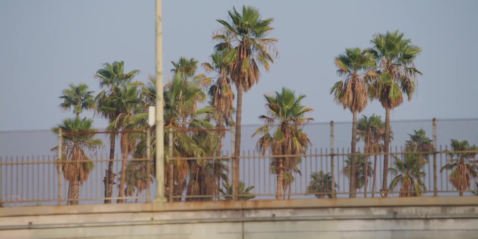 Cars are driving over a bridge in spring