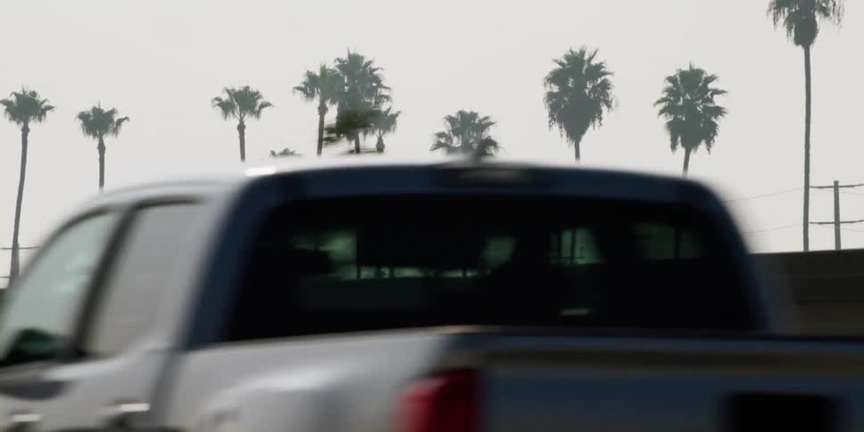 Vehicles sit parked on a street lined with palm trees