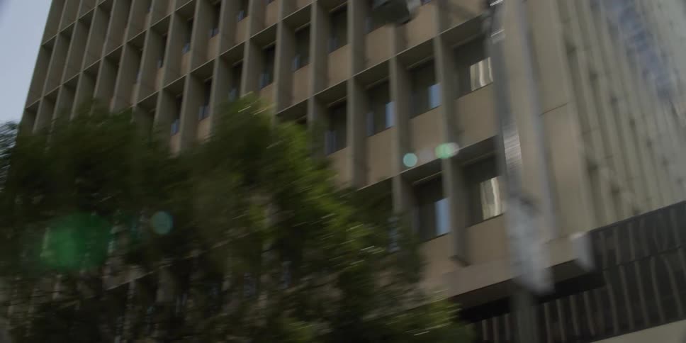 Tall buildings are shown in a downtown city during spring time