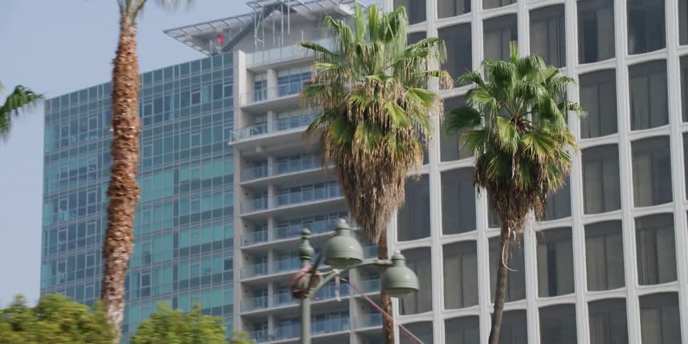 Two residential buildings with multiple windows and balconies at a distance with trees and palm trees in the front of them