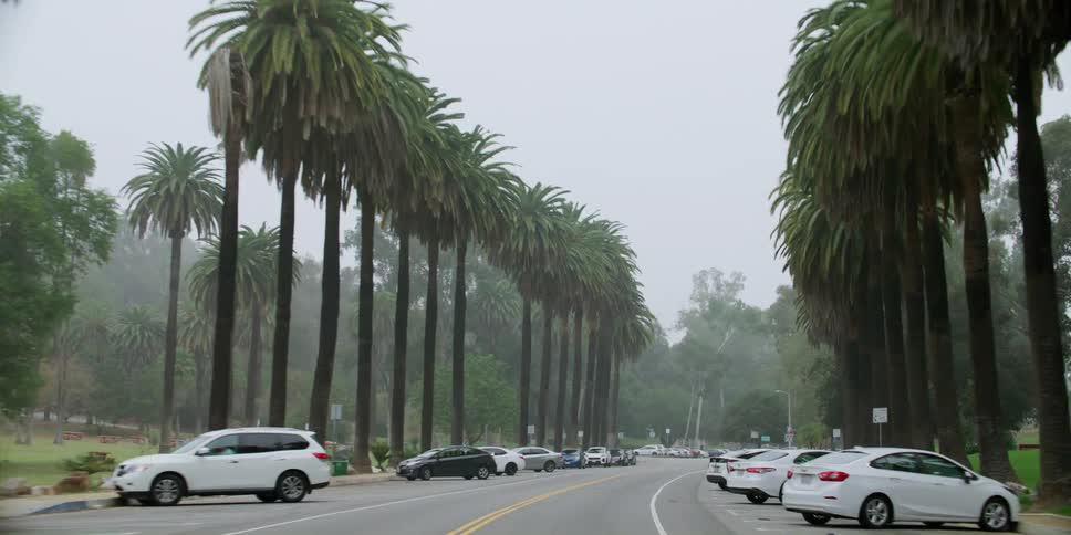 Cars are driving on a street in spring