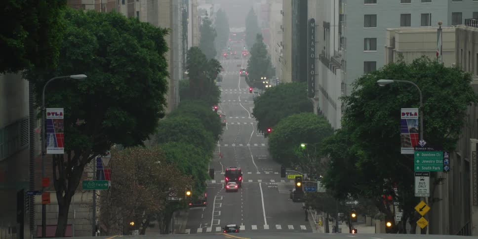 Cars are driving through a downtown city