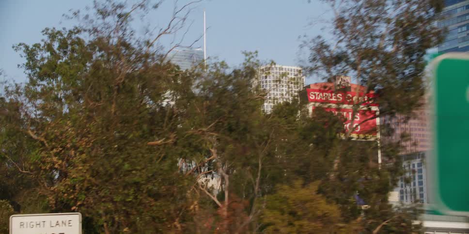 Trees and buildings in a city is displayed in spring
