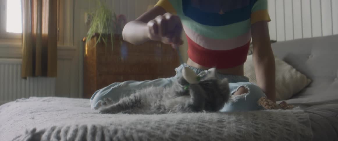 Girl with glasses stripped shirt and ripped jeans plays with gray cat on bed in bedroom