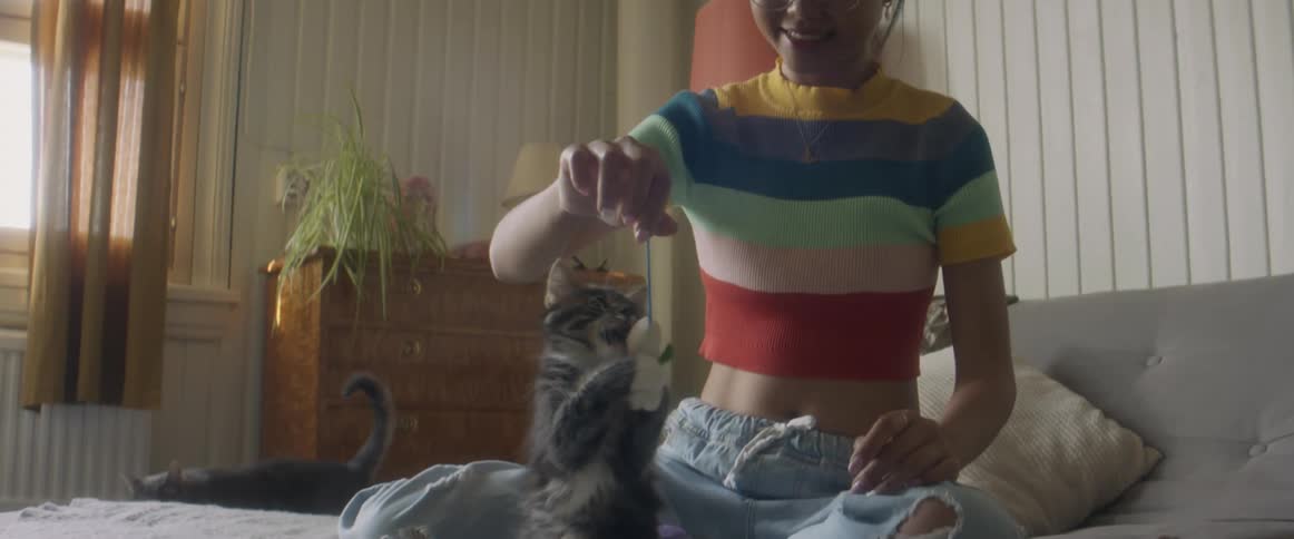 Girl with glasses stripped shirt an jeans plays with gray cat on bed in bedroom