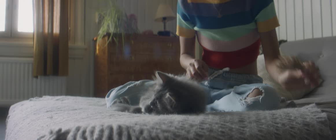 Girl with stripped shirt and ripped jeans sits on bed playing with gray cat in bedroom