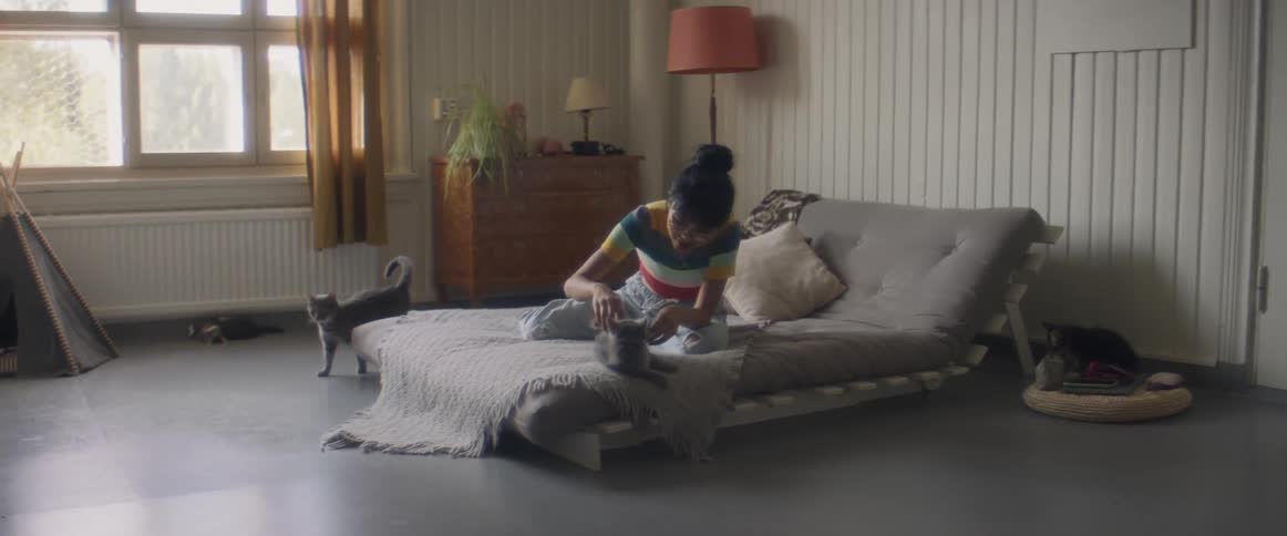 Girl with glasses and stripped tshirt sitting on bed pets gray cat sitting on bed in bedroom
