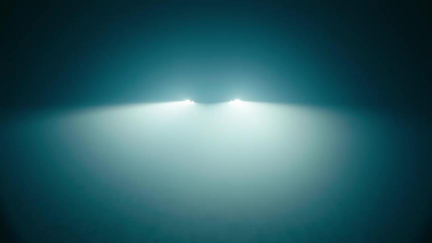 A light is shining on the forest area
