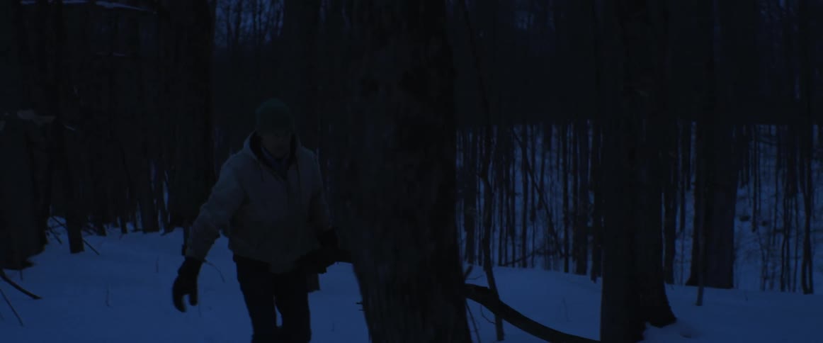 A man carries a large branch through the woods