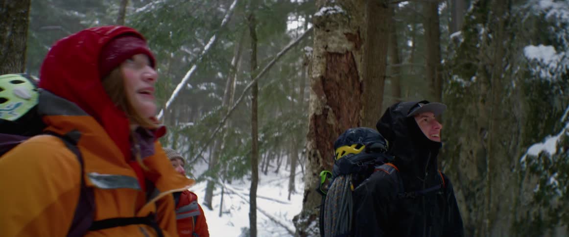 Mountain climbers smile while standing in snowy forest and studying mountain slope