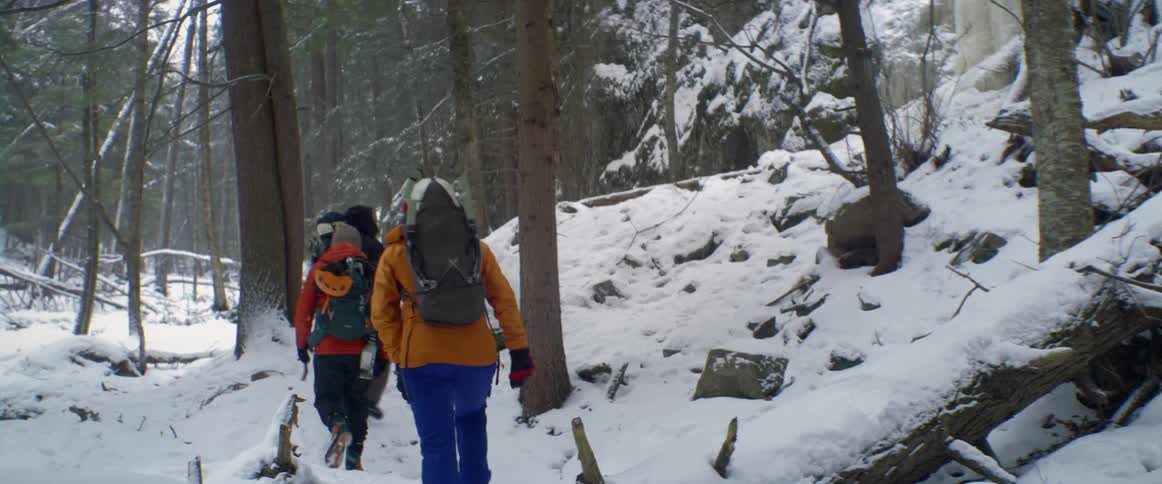 A group of hikers walk together through a snowy woodland during the day