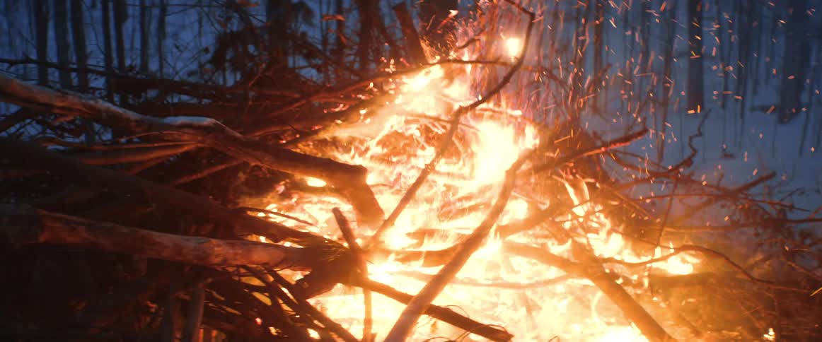 A man puts tree branches on a large bonfire