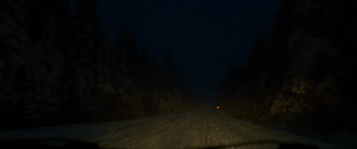 Traveling on a snow covered forest road at night during a blizzard