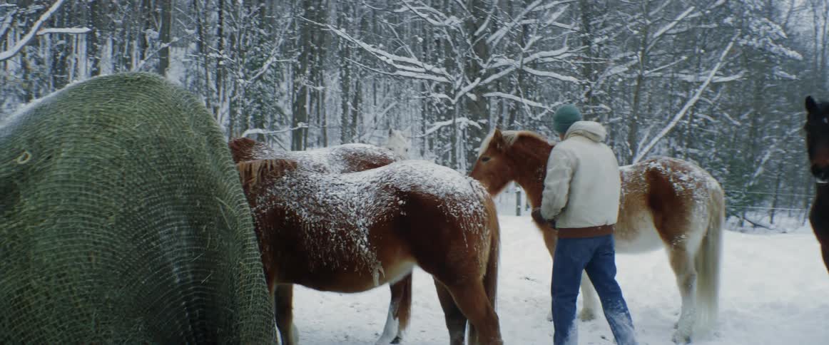 A man stands in a snow covered rural area with multiple horses