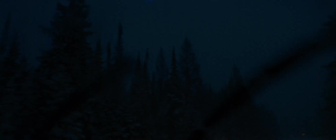 Traveling on a forest road at night during a blizzard