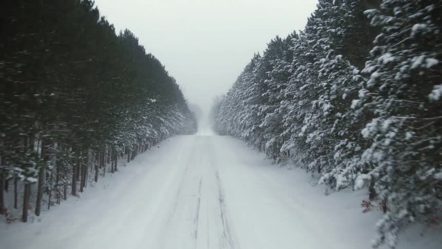 Aerial view of automobile tracks in the snow on a snow covered forest road during a blizzard