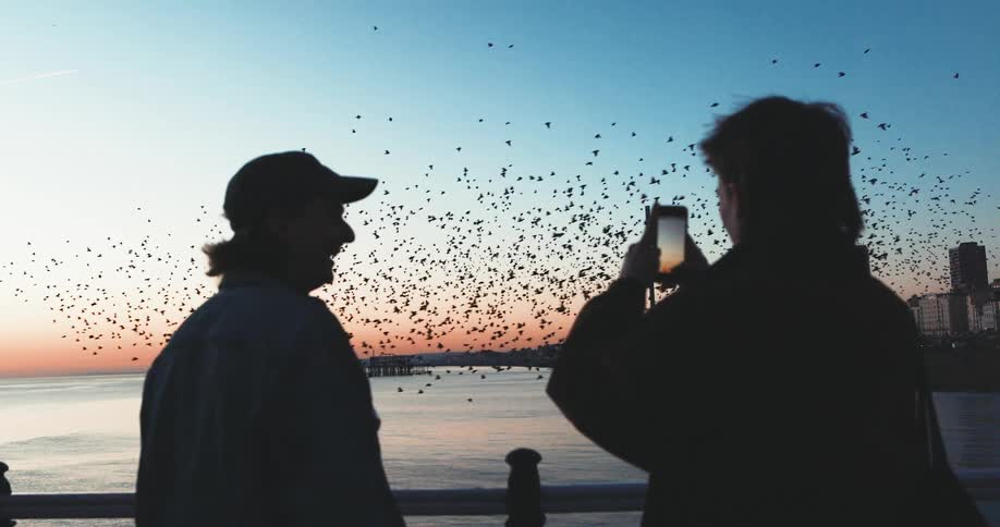 A woman smiles joyfully as she turns to her partner while he films the flock of birds flying over the water
