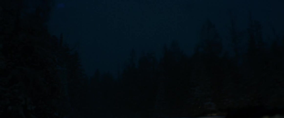 Traveling on a snow covered forest road during a blizzard at night