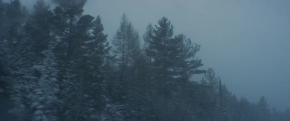 Traveling on a forest road during a blizzard