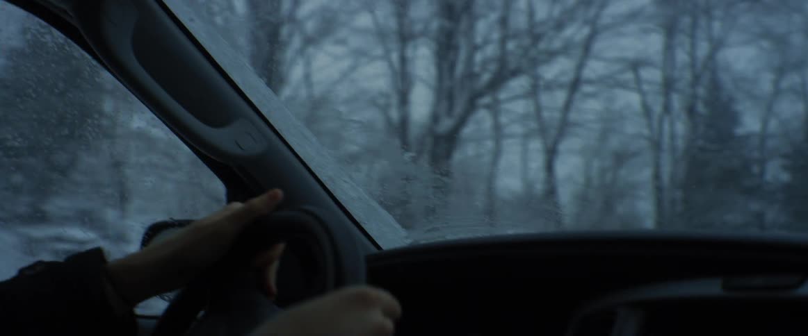 Traveling on a forest road during a blizzard