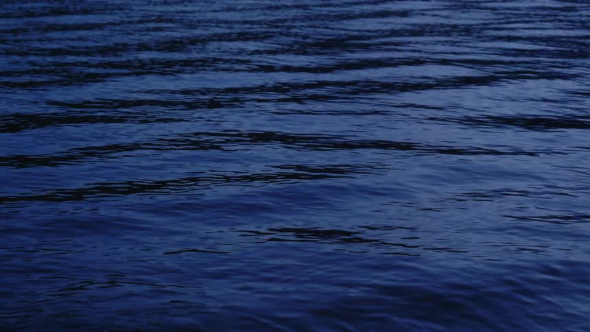 Light reflects on the water as the waves roll in
