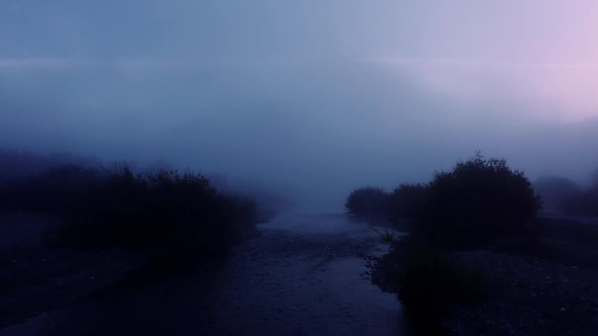 The stream is covered with heavy fog