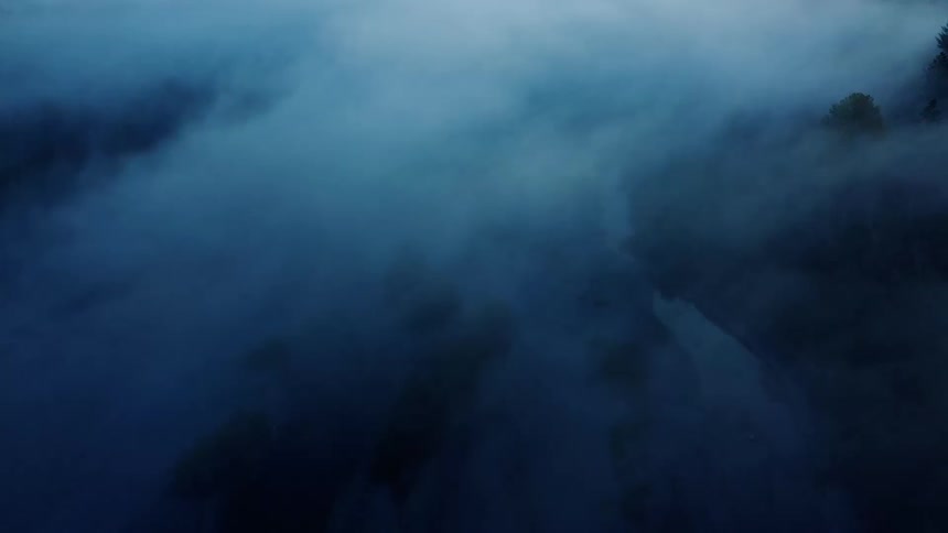The tops of trees in a forest are seen above the fog