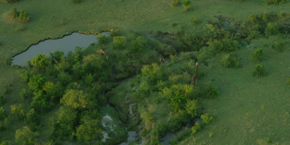 Aerial view of a large field with a small pond