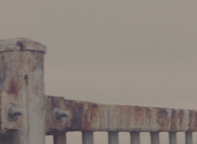 A bird flies over the railing