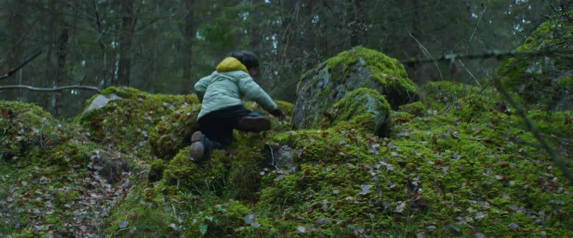 A young boy wearing a jacket is playing in a forest and he climbs on moss covered rocks