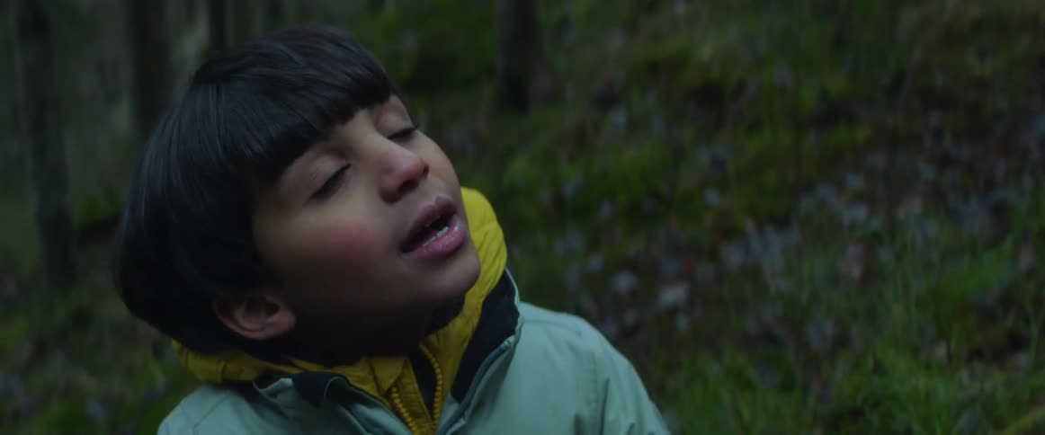 A boy laughs and gestures as he looks up in the forest