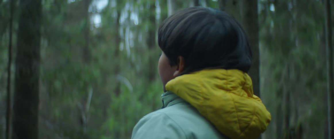 A young boy wearing a jacket is looking around in a forest