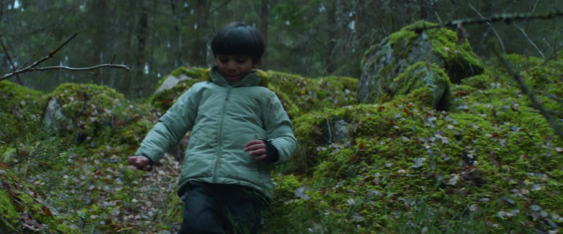 A young boy is climbing on moss covered rocks and down a forest hill