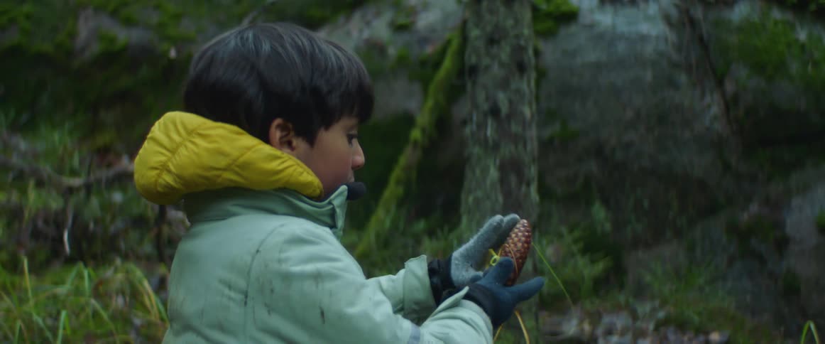 A boy holds up and examines a pine cone found in a canyon